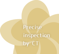 Precision inspection by CT