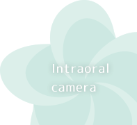 Intraoral camera